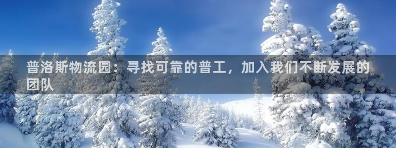 28圈充值金额随便