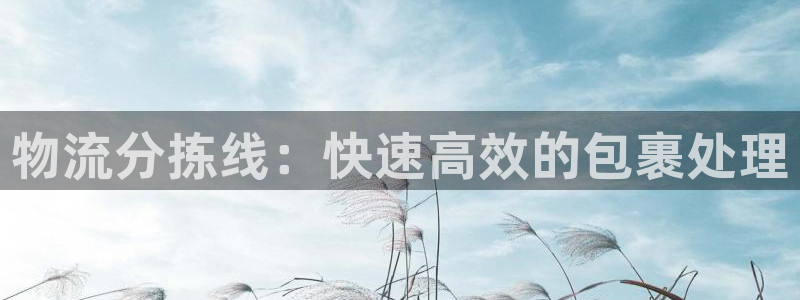 28圈怎么注册下载：物流分拣线：快速