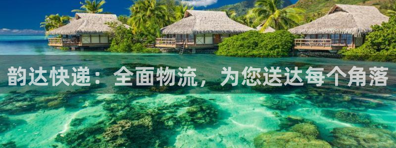 28圈下载二维码