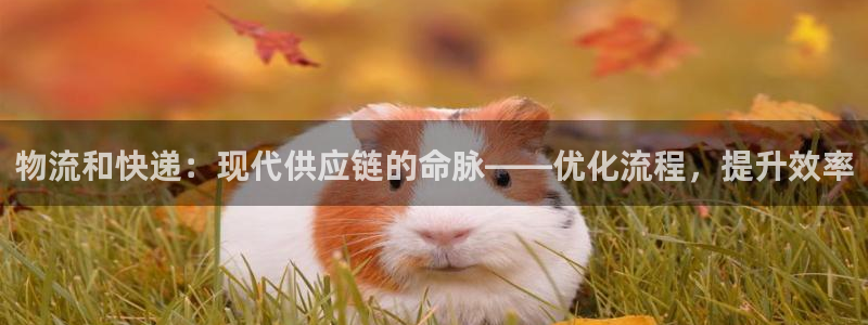 28圈麻将