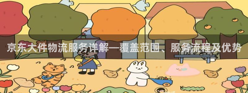 28圈大舞台：京东大件物流服务详解—