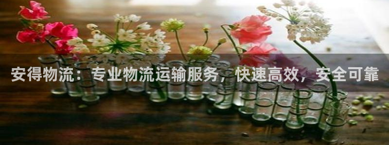 28圈加拿大在线预测