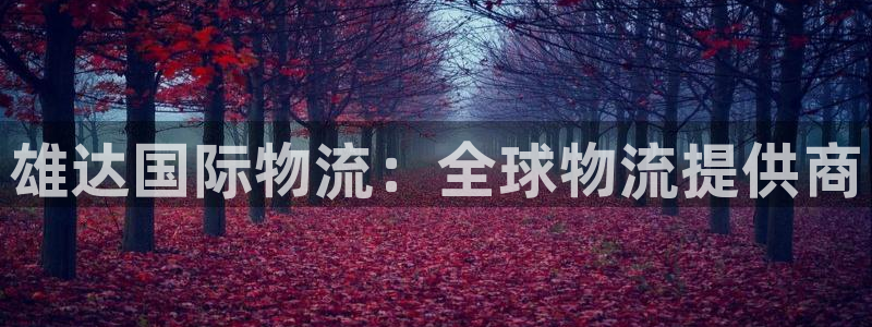 28圈如何看计划