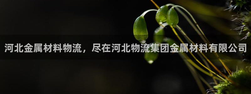 28圈激活码
