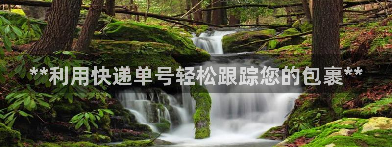 28圈注册网址百度知道：**利用快递