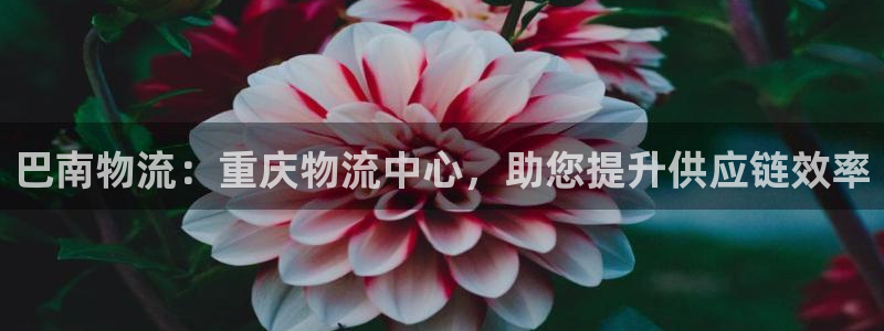 28圈加拿大在线预测