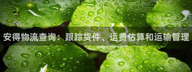 南宫28圈官网版