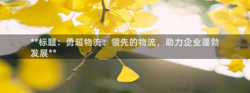 28圈注册链接入口：**标题：勇超物
