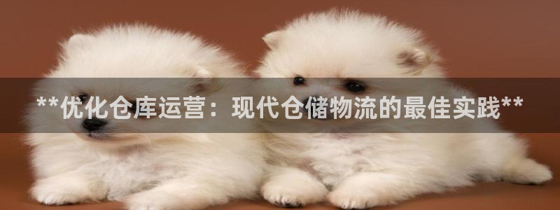 28圈充值