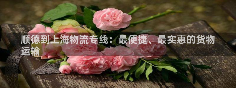 28圈官网下载链接是什么网站