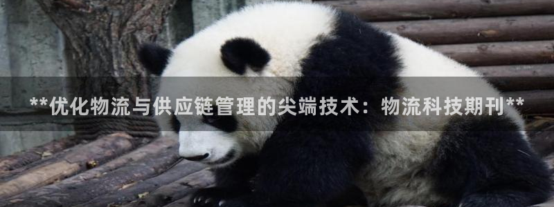 28圈官方版正版