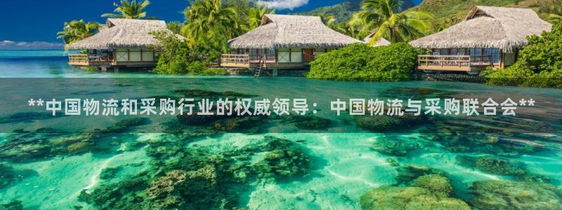 28圈麻将