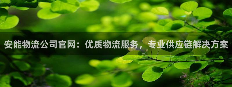28圈辅助