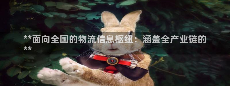 28圈注册链接入口：**面向全国的物