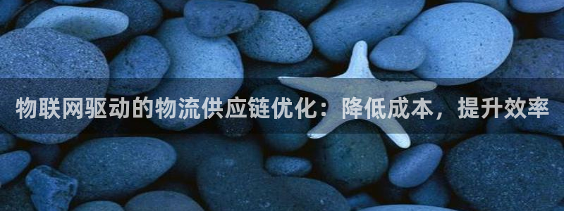 28圈提款一直没到：物联网驱动的物流