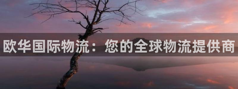 28圈下载二维码