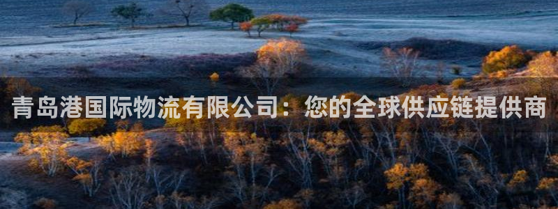 28圈游戏