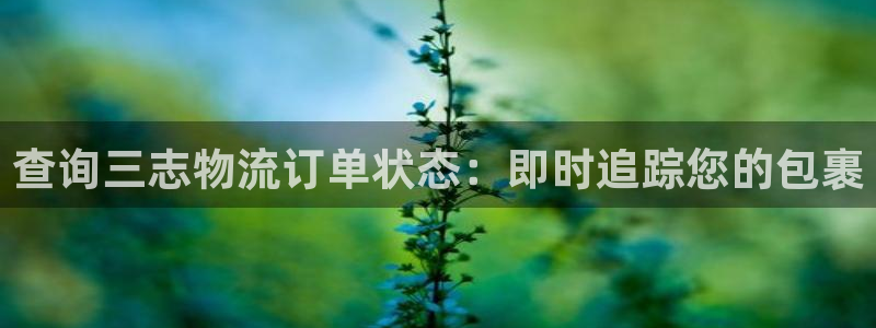 28圈.ccm