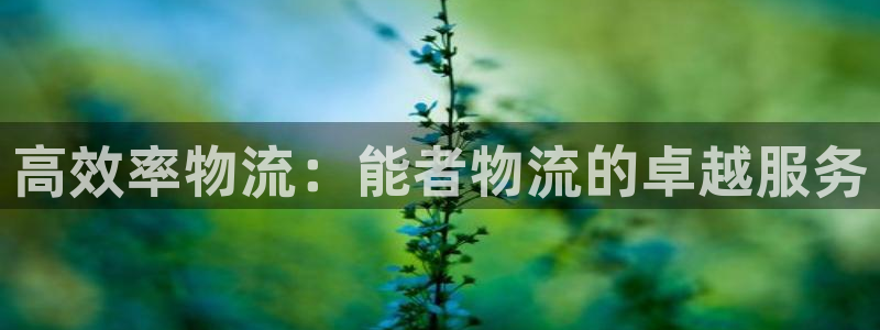 28圈注册网址：高效率物流：能者物流