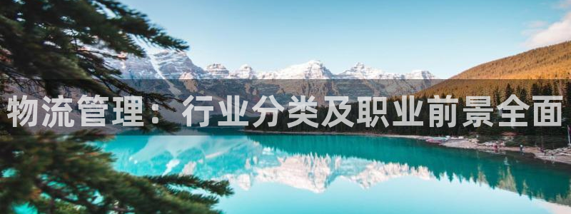 28圈分分28输了能不能退