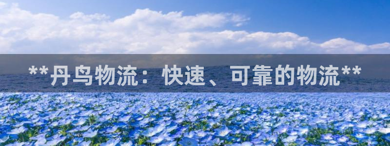 28圈p扣除是什么意思