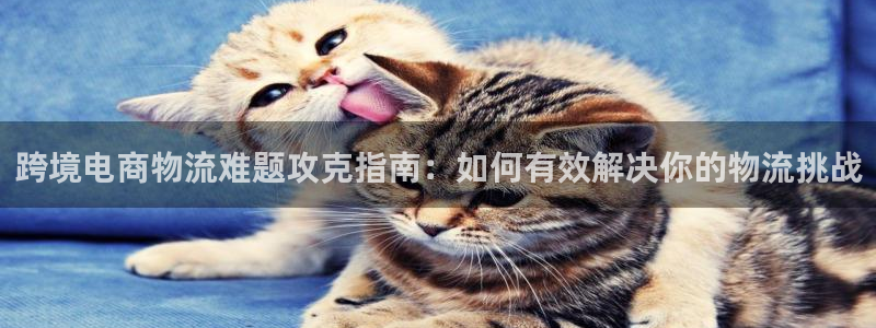 28圈提款一直没到