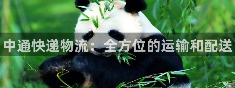 28圈合法吗：中通快递物流：全方位的