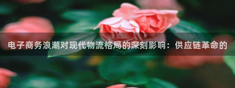 28圈.ccm官网