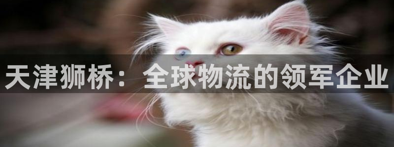 28圈现在狂杀