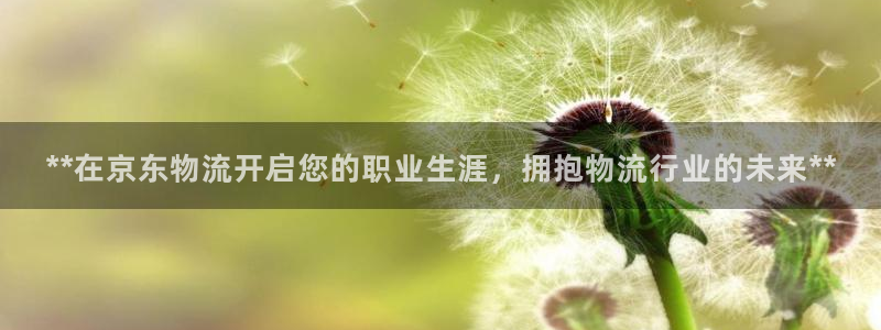 28圈违法吗