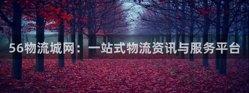 28圈初始资金密码是什么