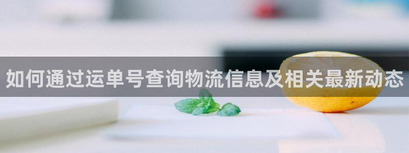 28圈加拿大官网