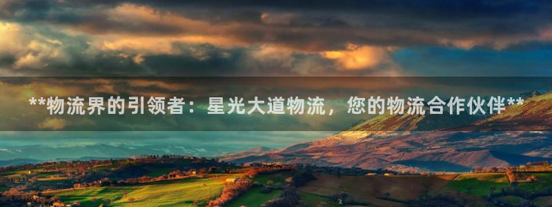 28圈官方版网站：**物流界的引领者