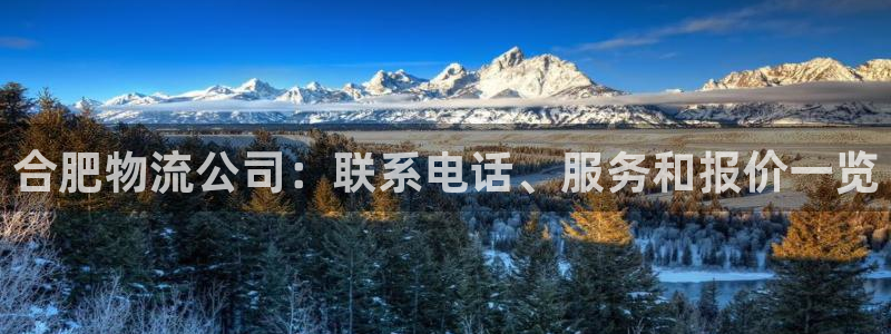 28圈注册网站：合肥物流公司：联系电