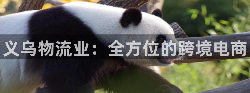 28圈.ccmpcios