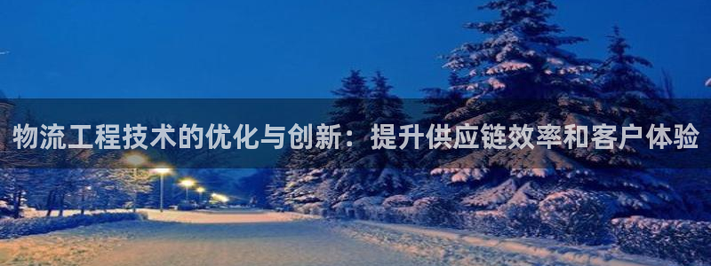 28圈注册网页：物流工程技术的优化与