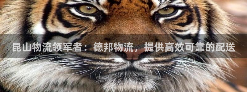 28圈注册送：昆山物流领军者：德邦物