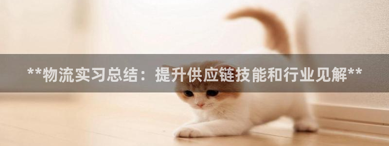 28圈电子