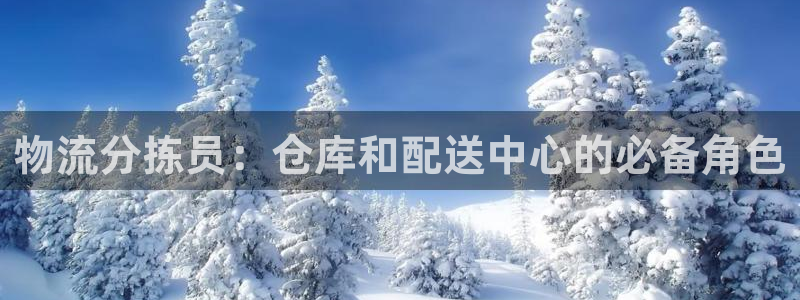 28圈网站平台