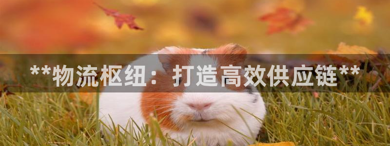28圈口内径是多大