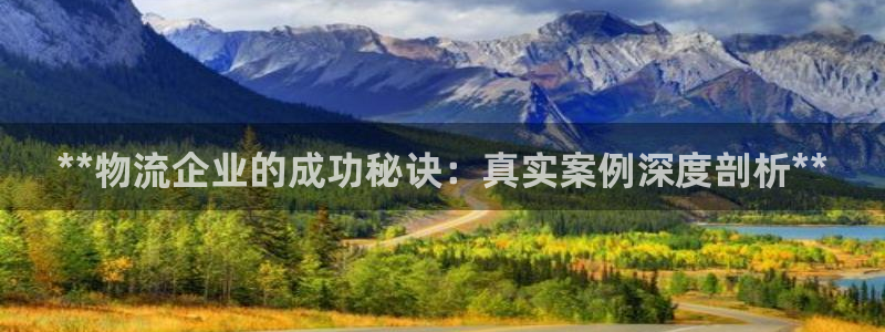 28圈预测网：**物流企业的成功秘诀