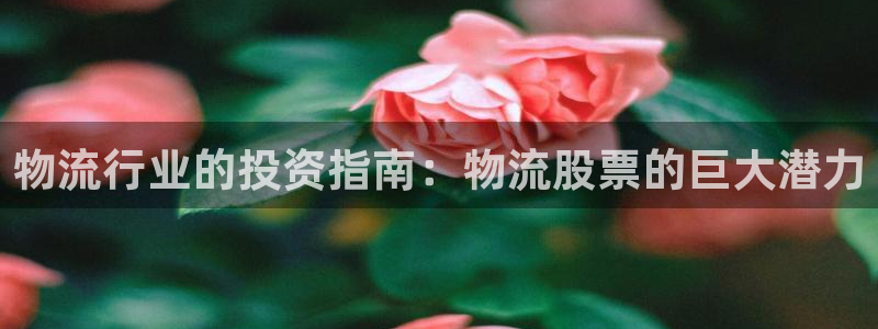 28圈合法吗：物流行业的投资指南：物