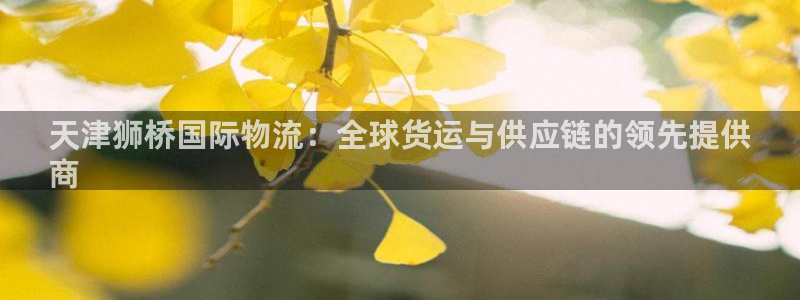 28圈玩法：天津狮桥国际物流：全球货