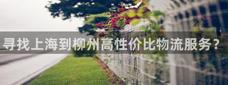 28圈注册网址百度知道：寻找上海到柳