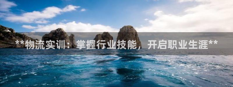 28圈注册网址：**物流实训：掌握行