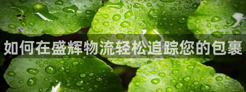 28圈注册教程：如何在盛辉物流轻松追