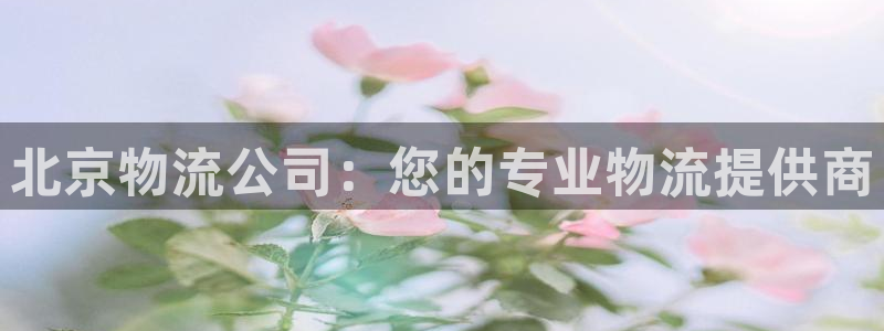 28圈客服一直不回消息怎么办