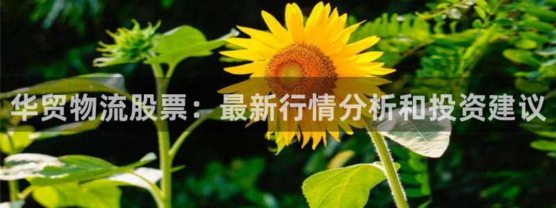 28圈加拿大app预测