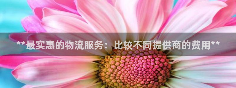 28圈人头费