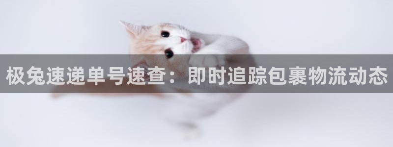 28圈官方平台